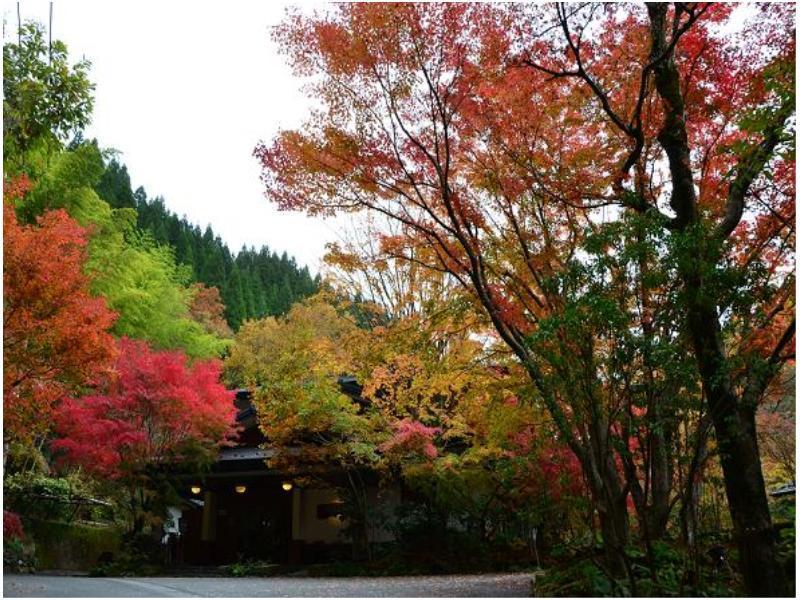 Ryokan Okunoyu Minamioguni Extérieur photo