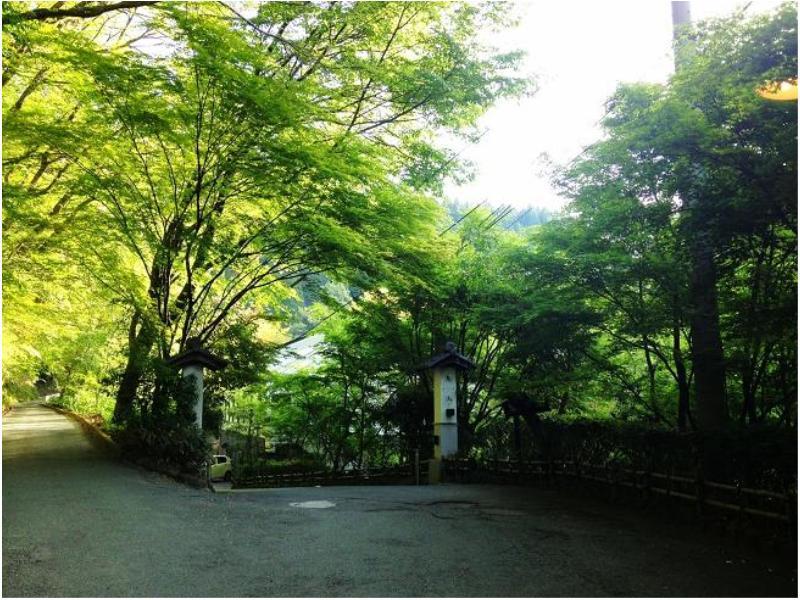 Ryokan Okunoyu Minamioguni Extérieur photo