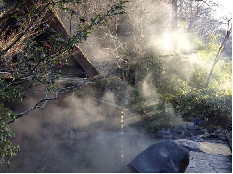 Ryokan Okunoyu Minamioguni Extérieur photo