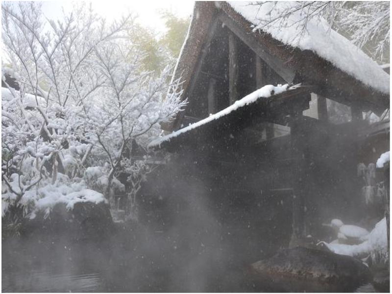 Ryokan Okunoyu Minamioguni Extérieur photo